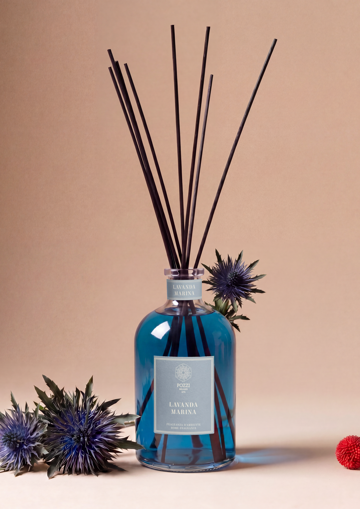 LAVANDA MARINA