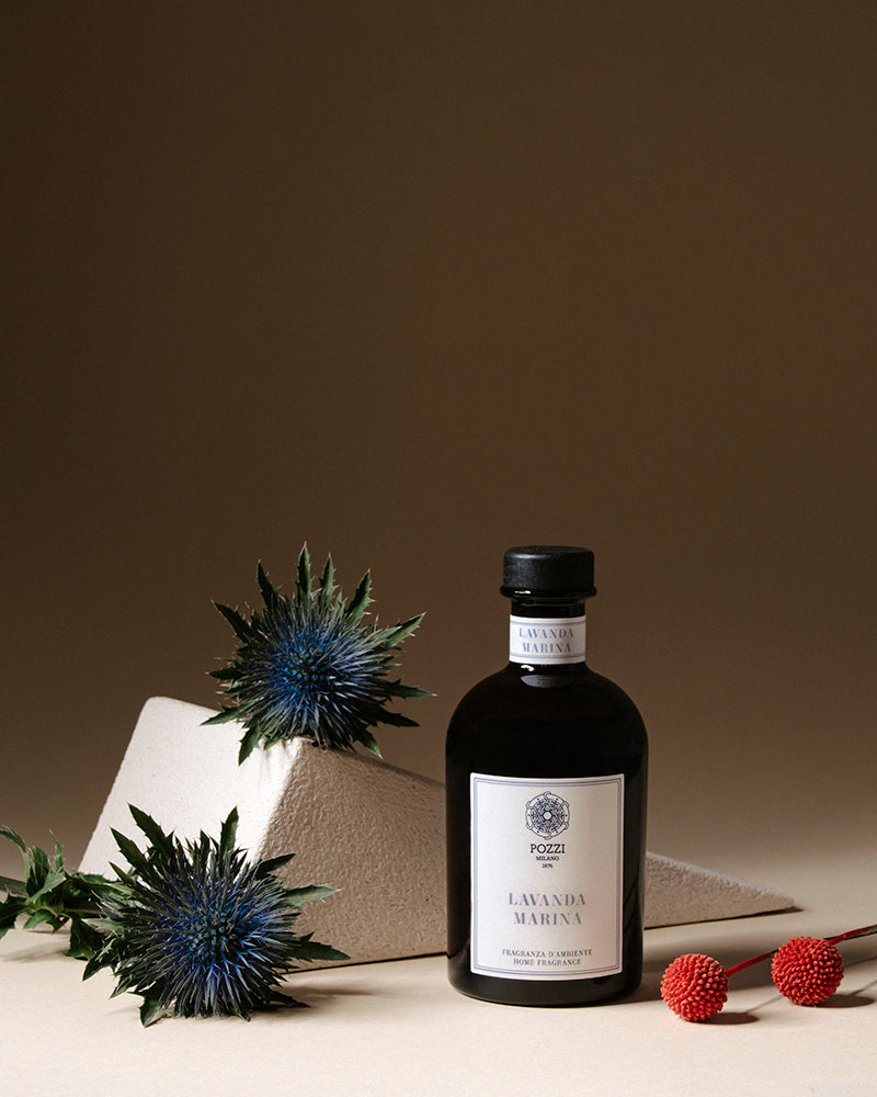 Lavanda Marina