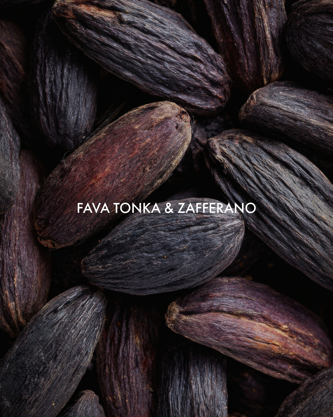FAVA TONKA & ZAFFERANO
