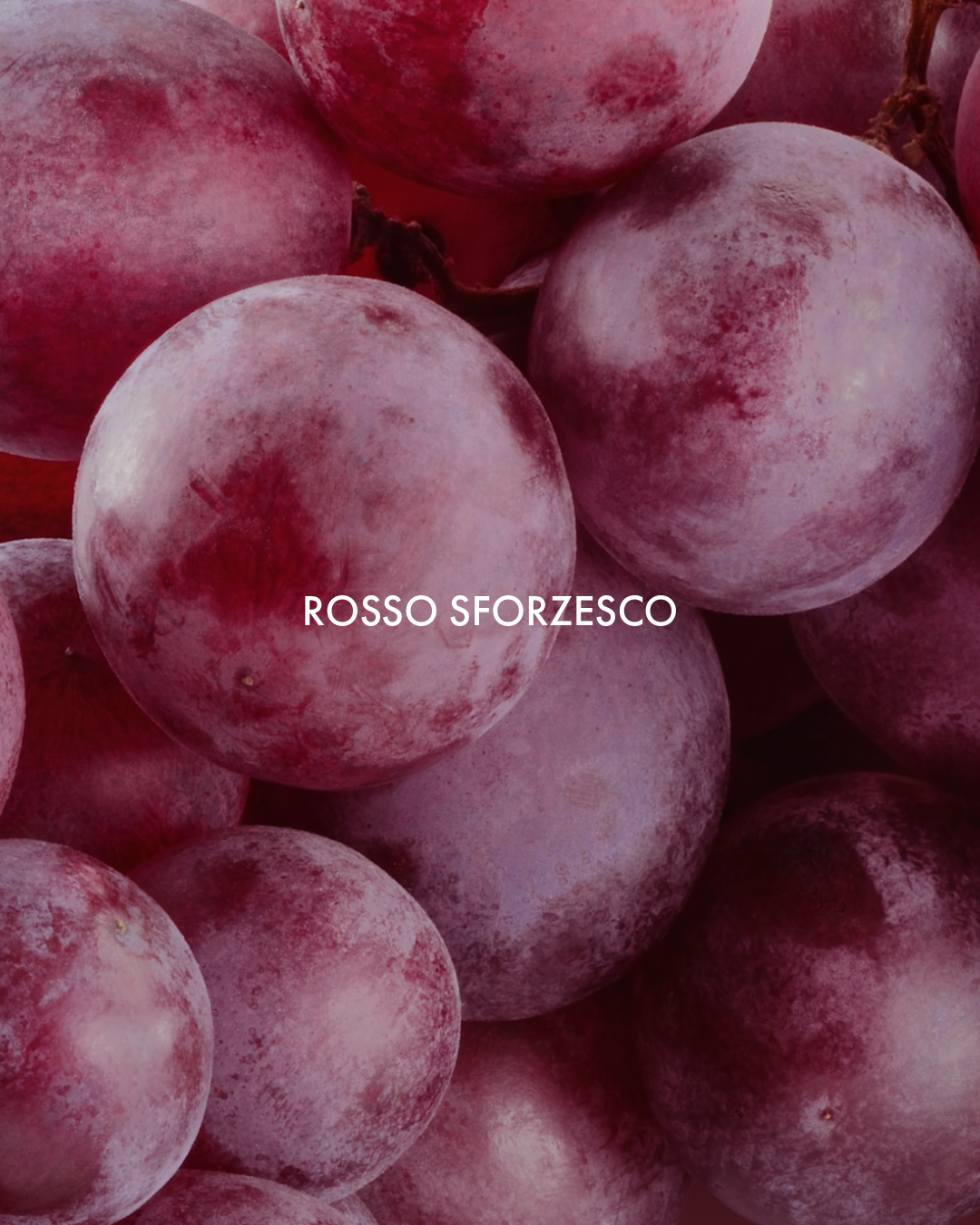 ROSSO SFORZESCO